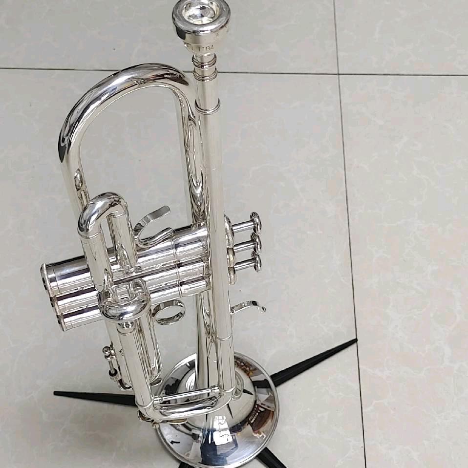 哆唻咪管乐队-二手小号