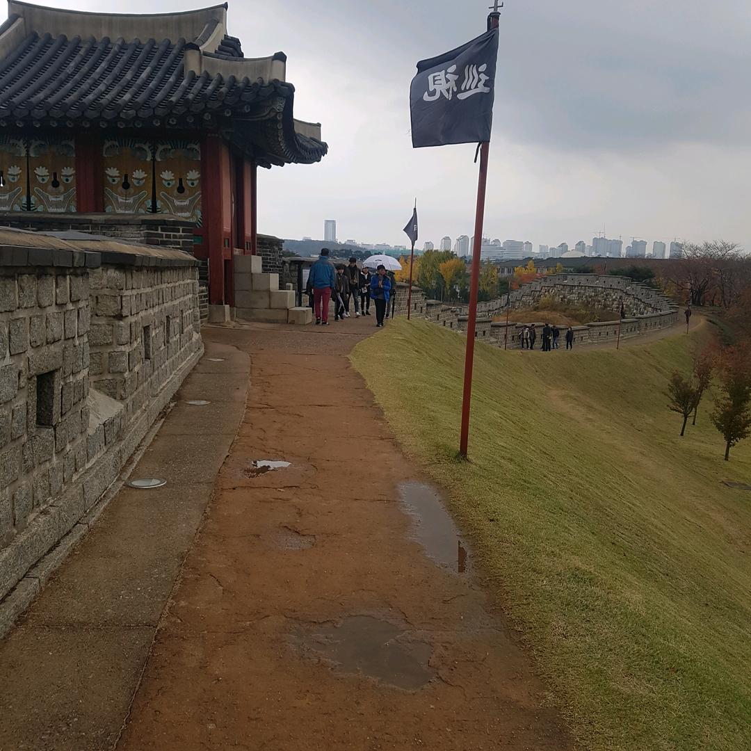 苍狼