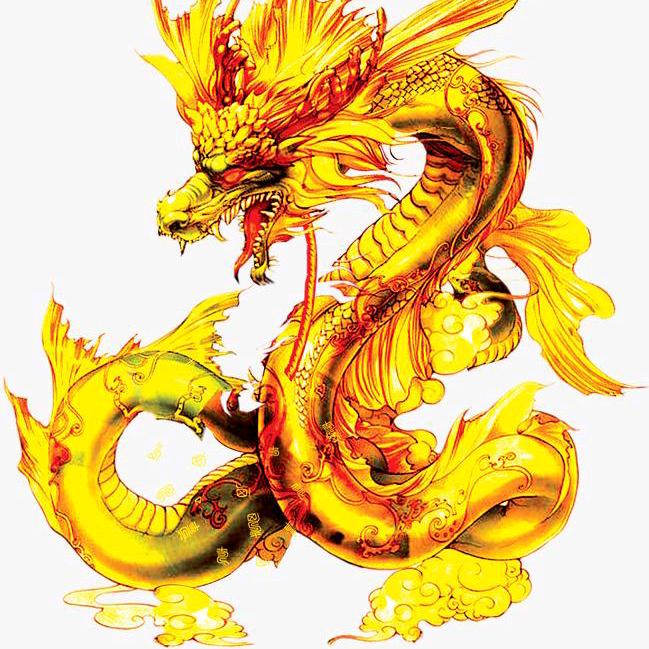 龍 哥