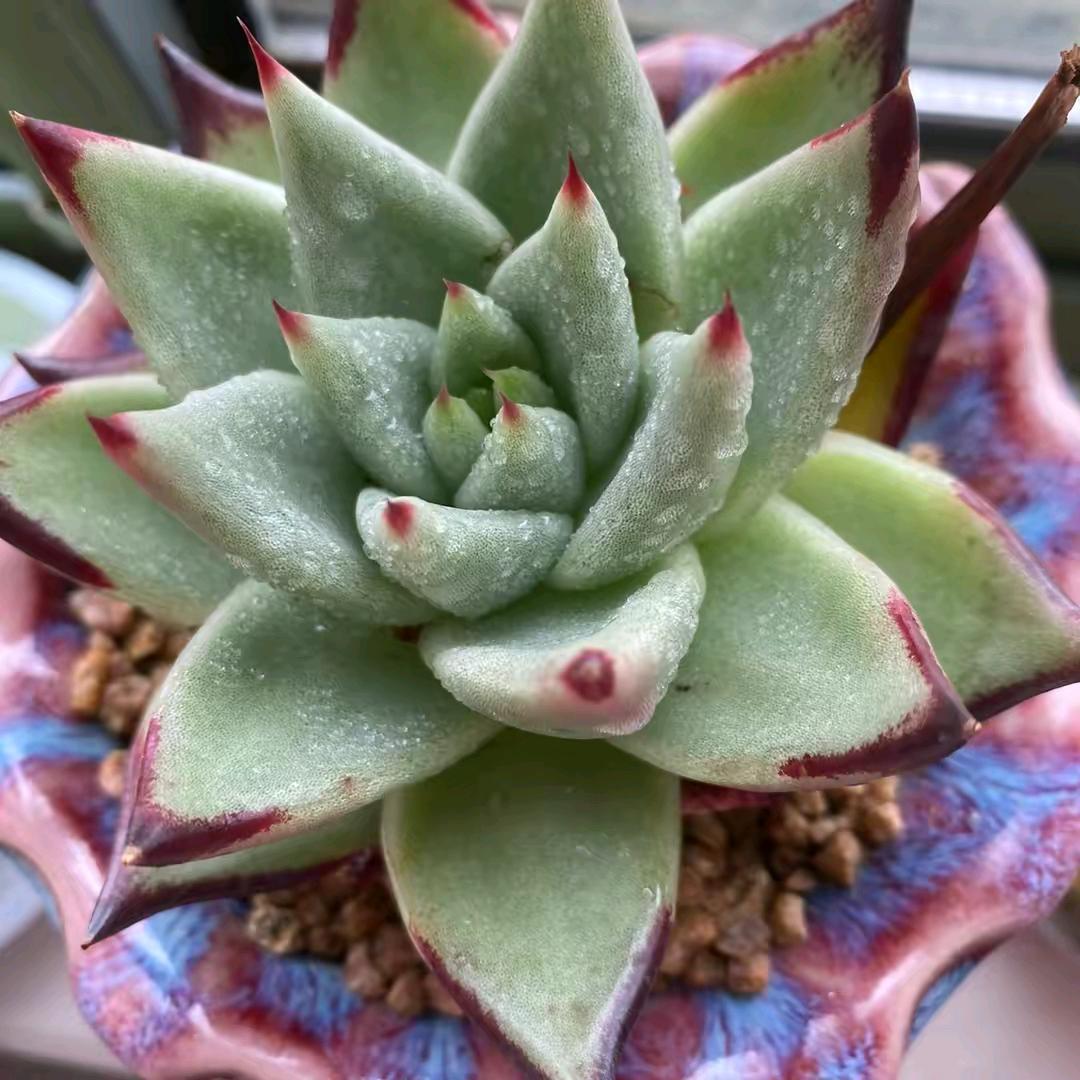 财源滚滚。