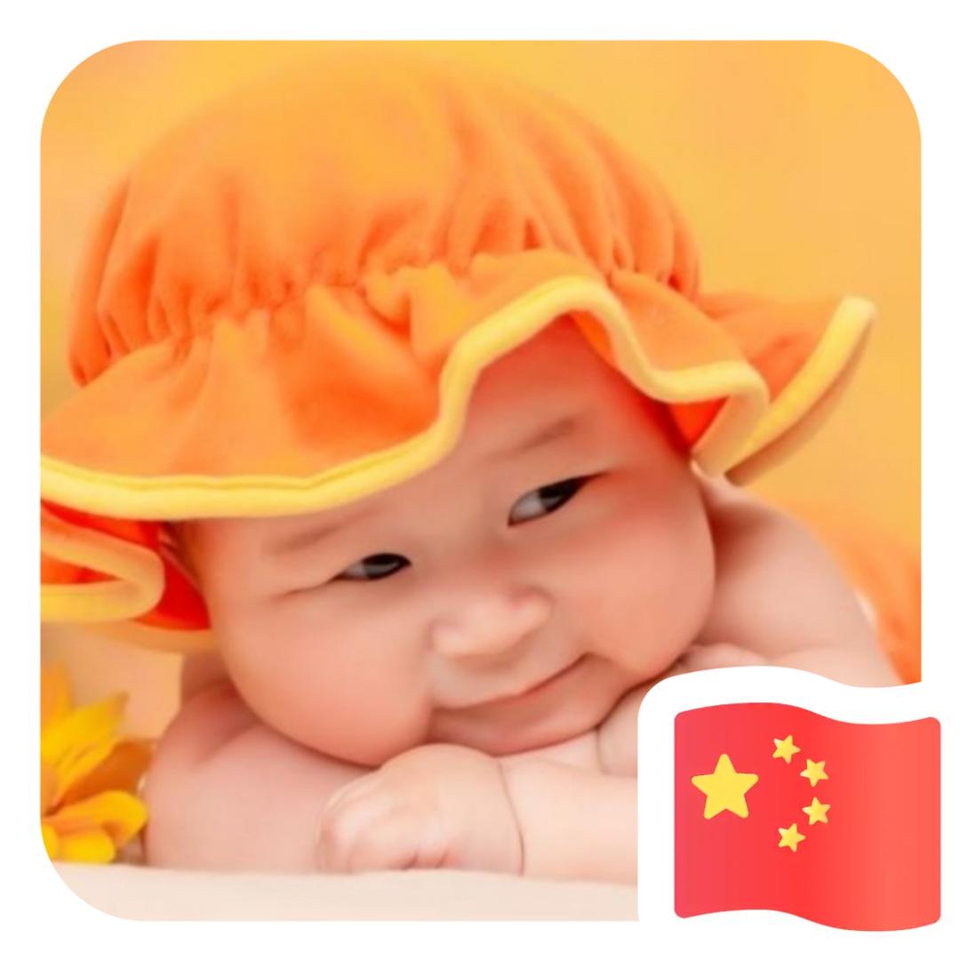 编号1101