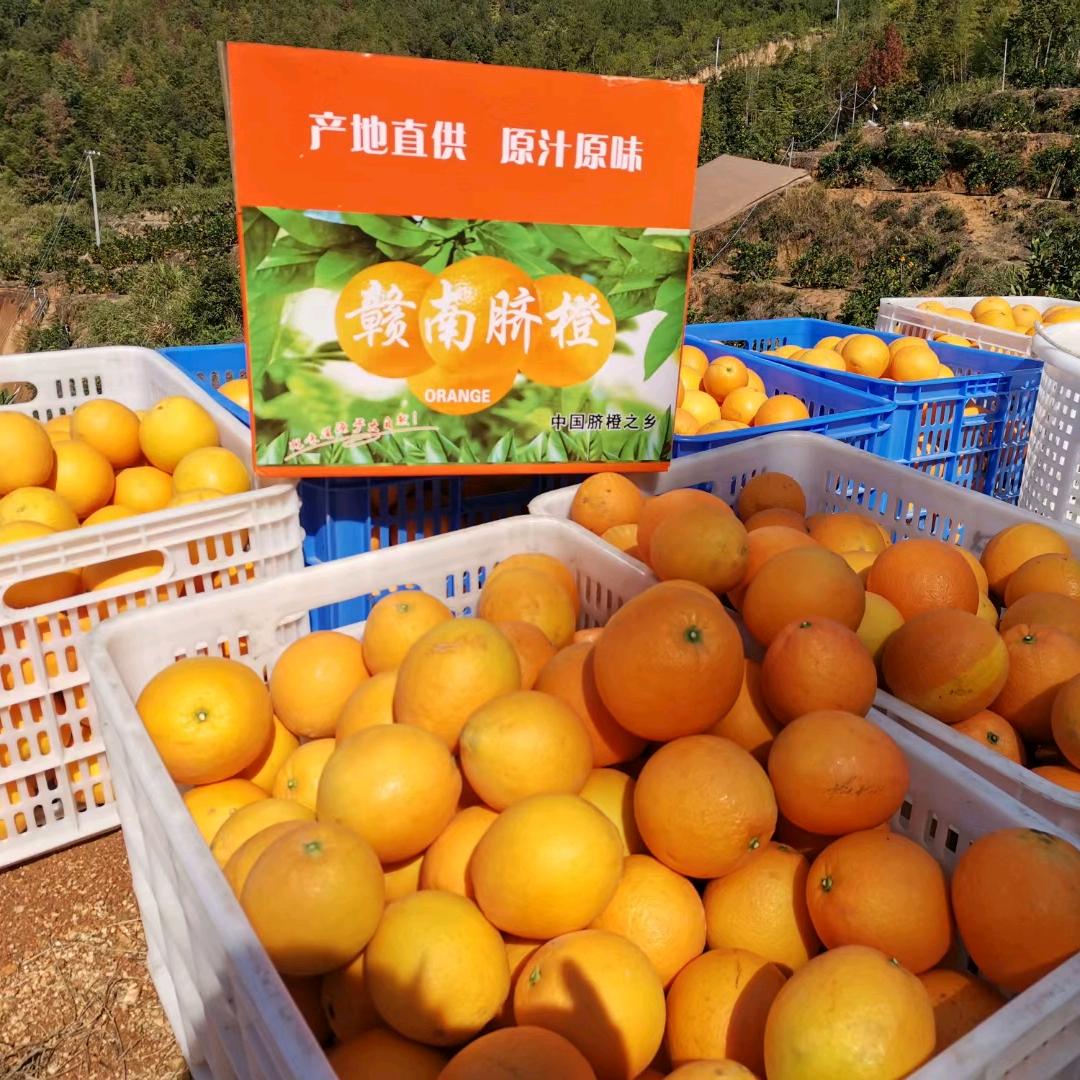 如是，如是