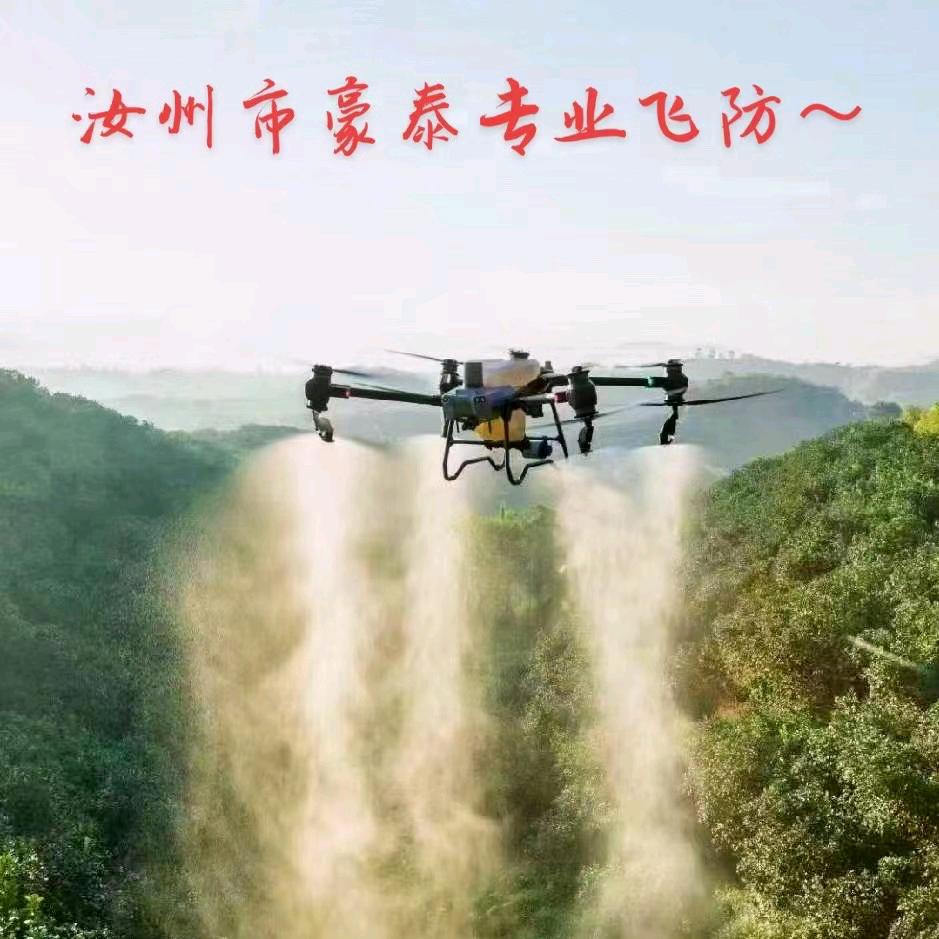 汝州市豪泰种植专业飞防吊运团队