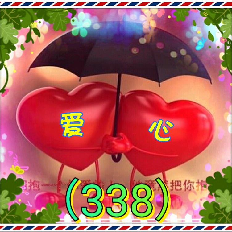 爱心（338）