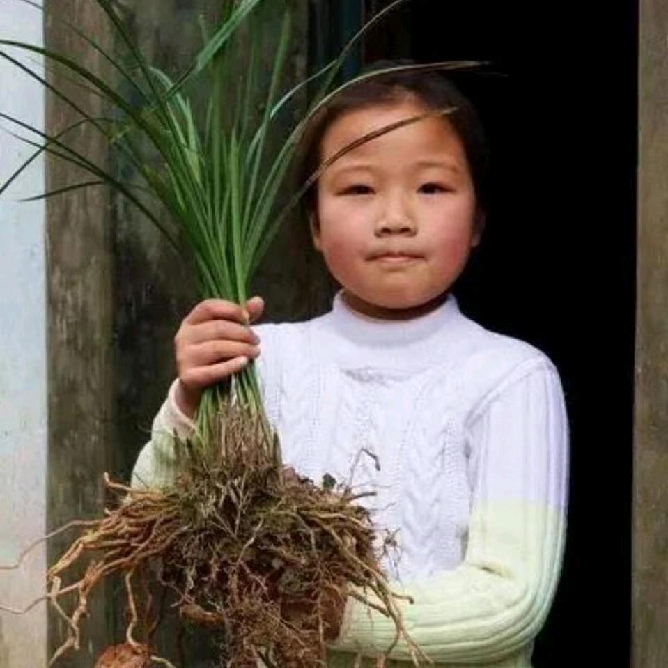 苏凡🍀
