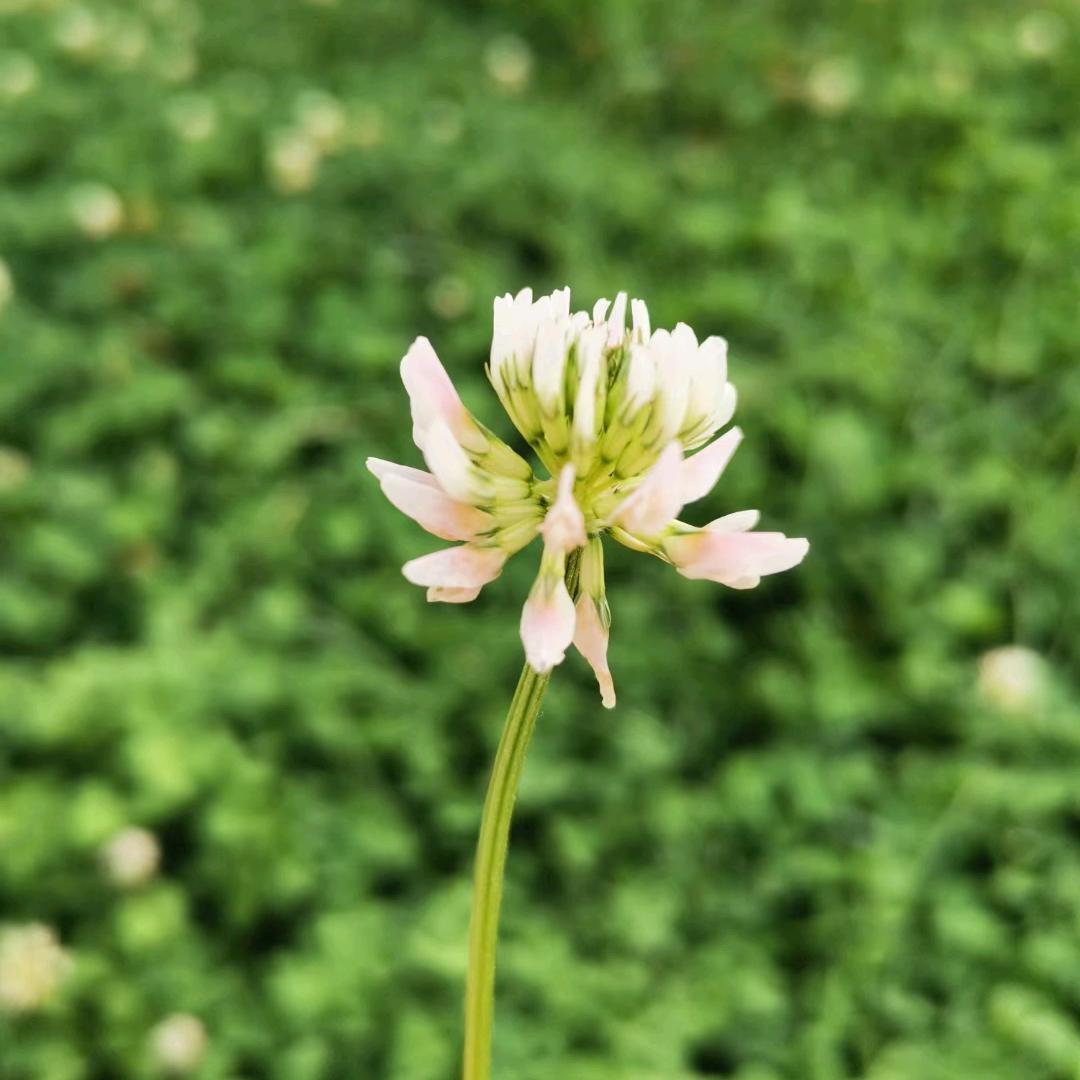 ☀💦勿忘初心！！🌙⚡拒绝私聊