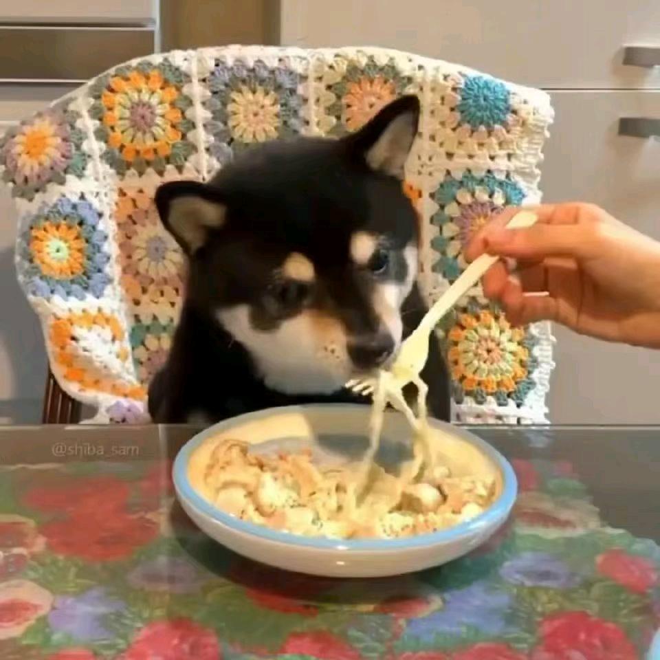 🌈爱啃嘎嘎