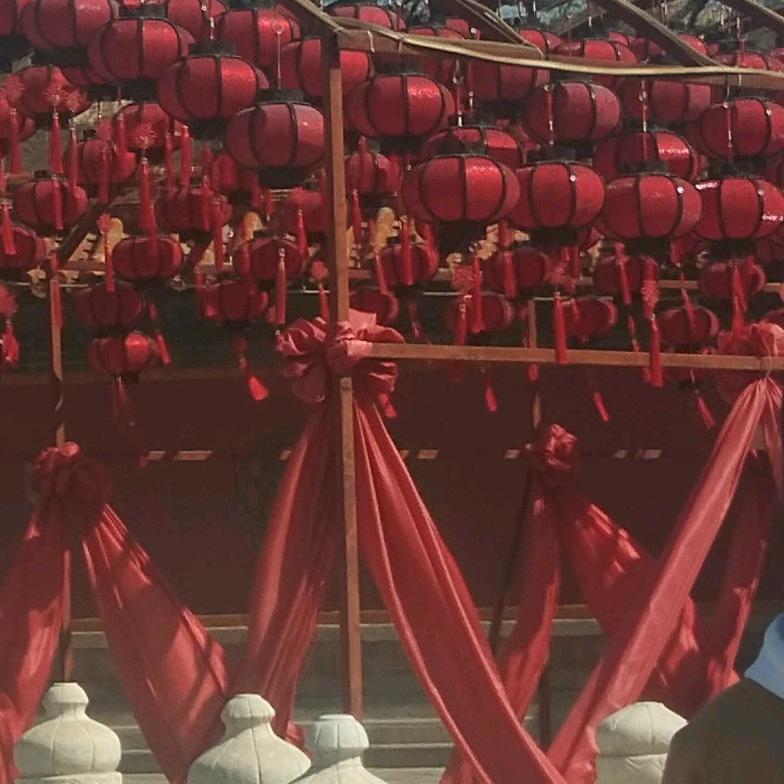 田间无杂草，用对全是宝