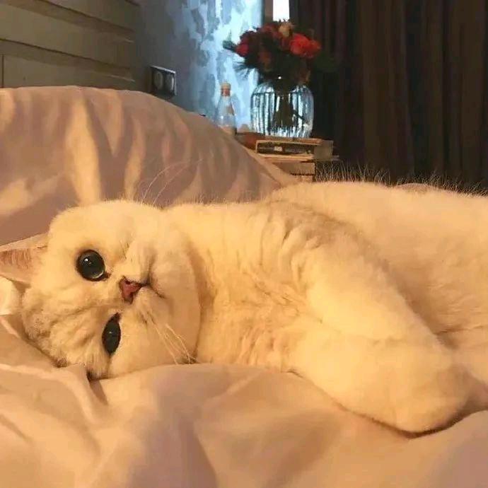 嗯哼~