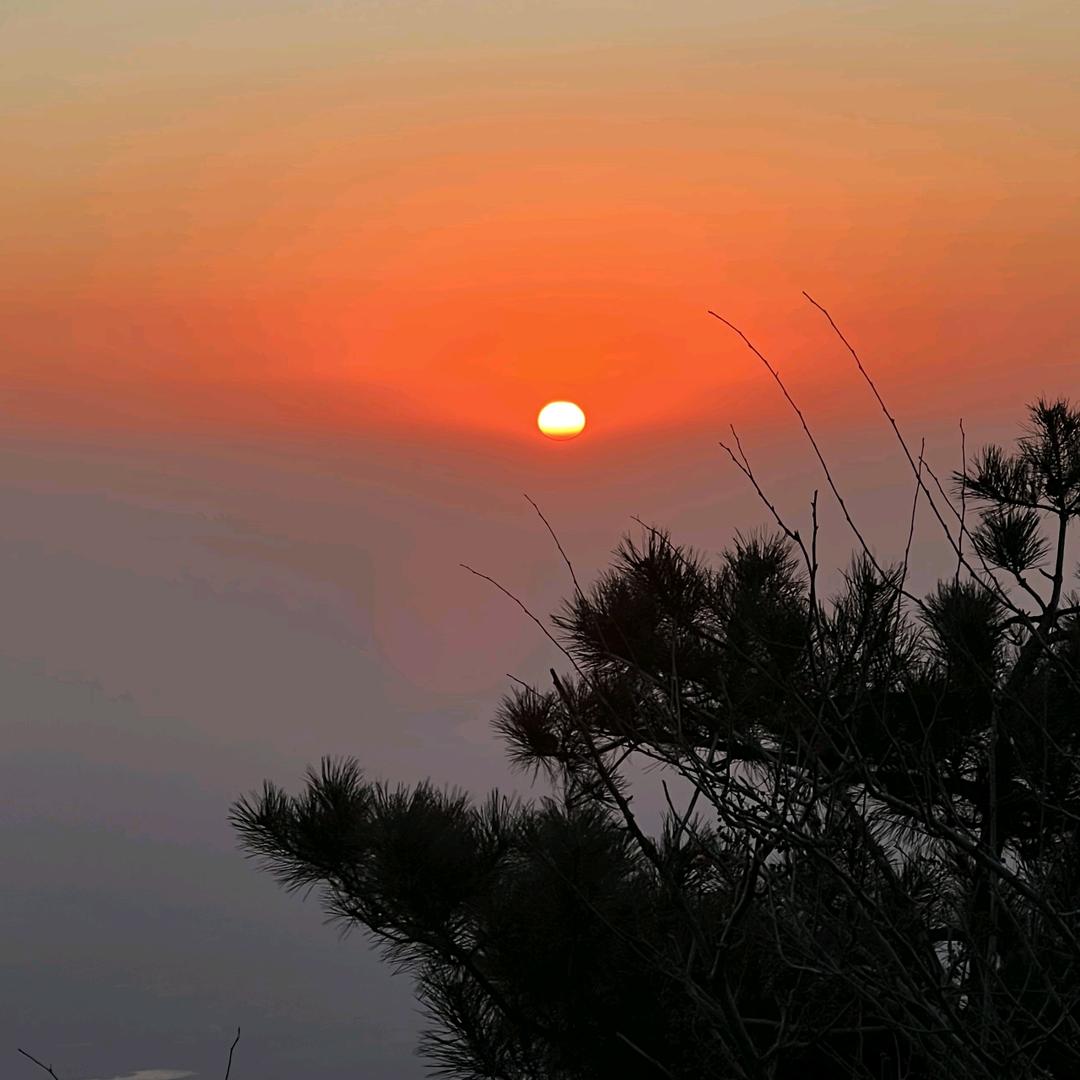 泉盛花卉批发基地