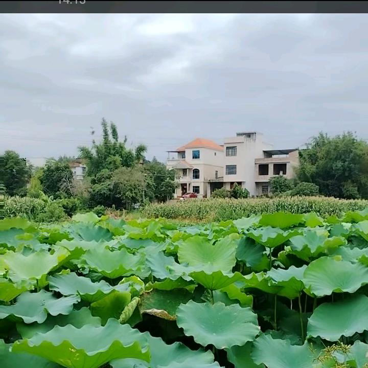 ✨🌴珍惜拥有💑