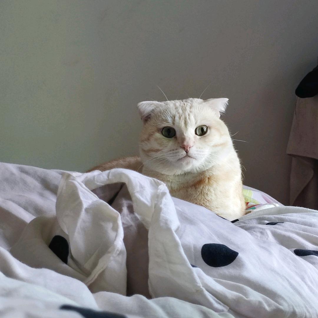 ♤♤