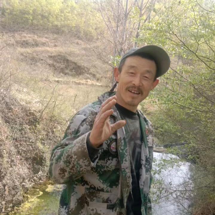 九哥