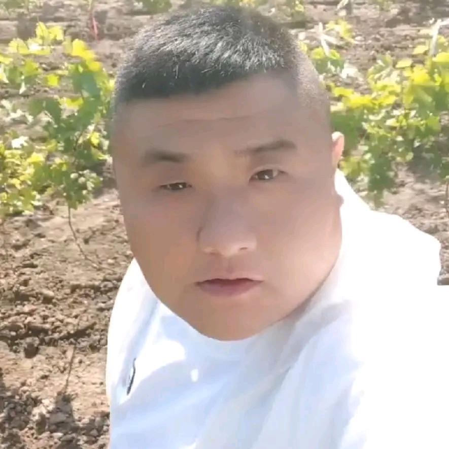 大硕666