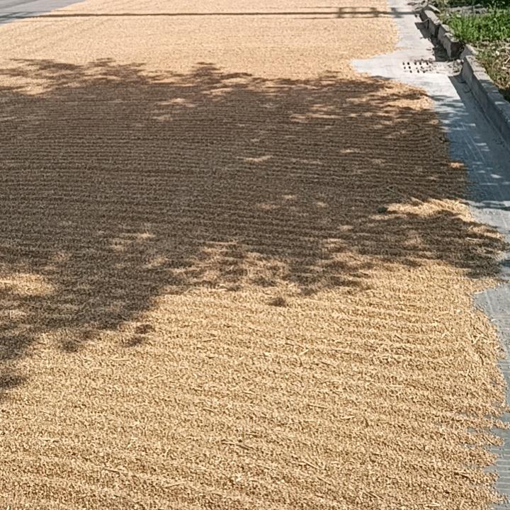 江山不老