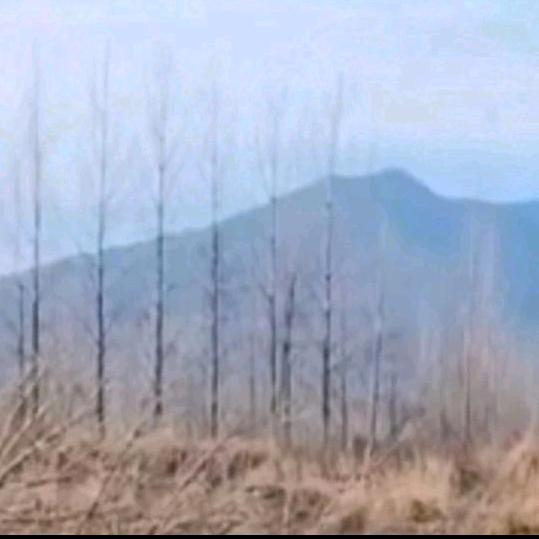 追梦