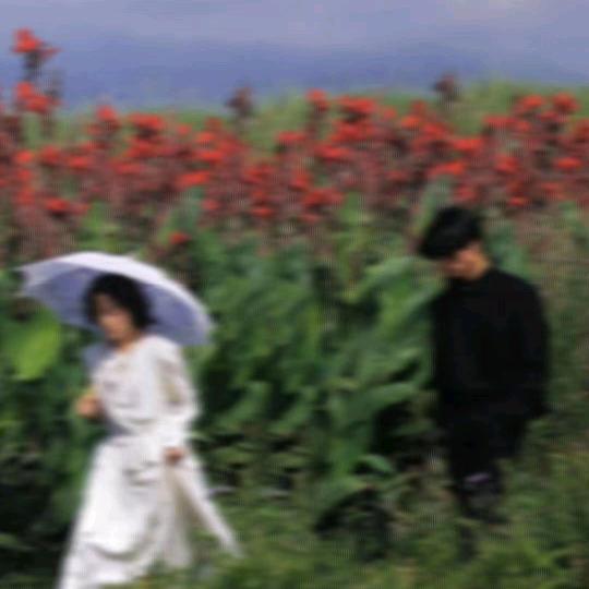 优雅的水晶绿屁崽（减肥版）
