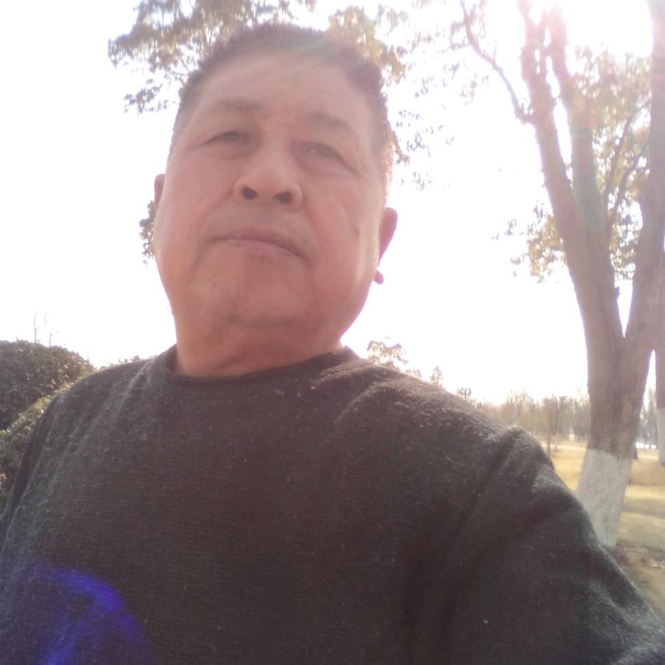 南来北往