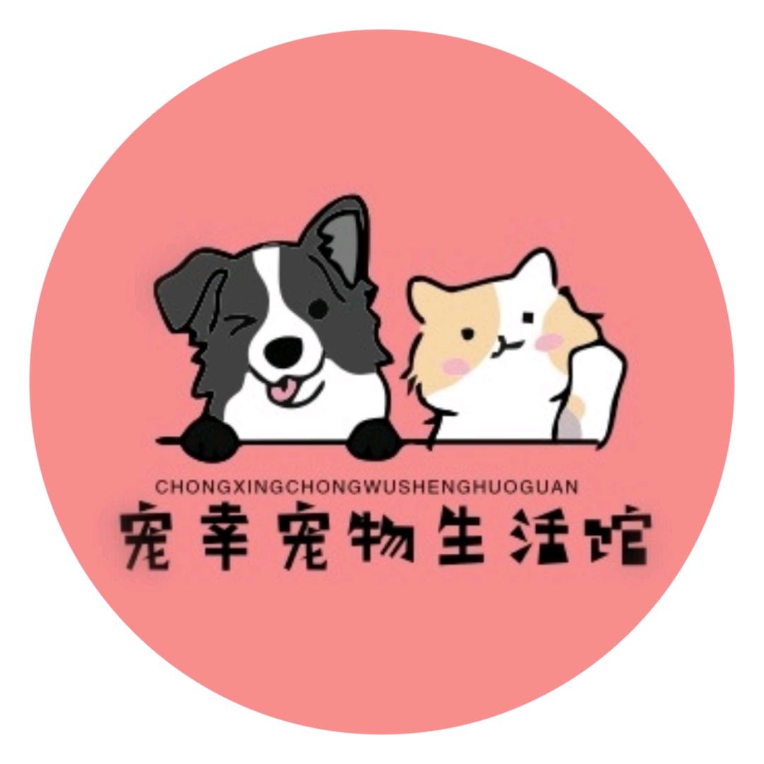 小小铲屎官