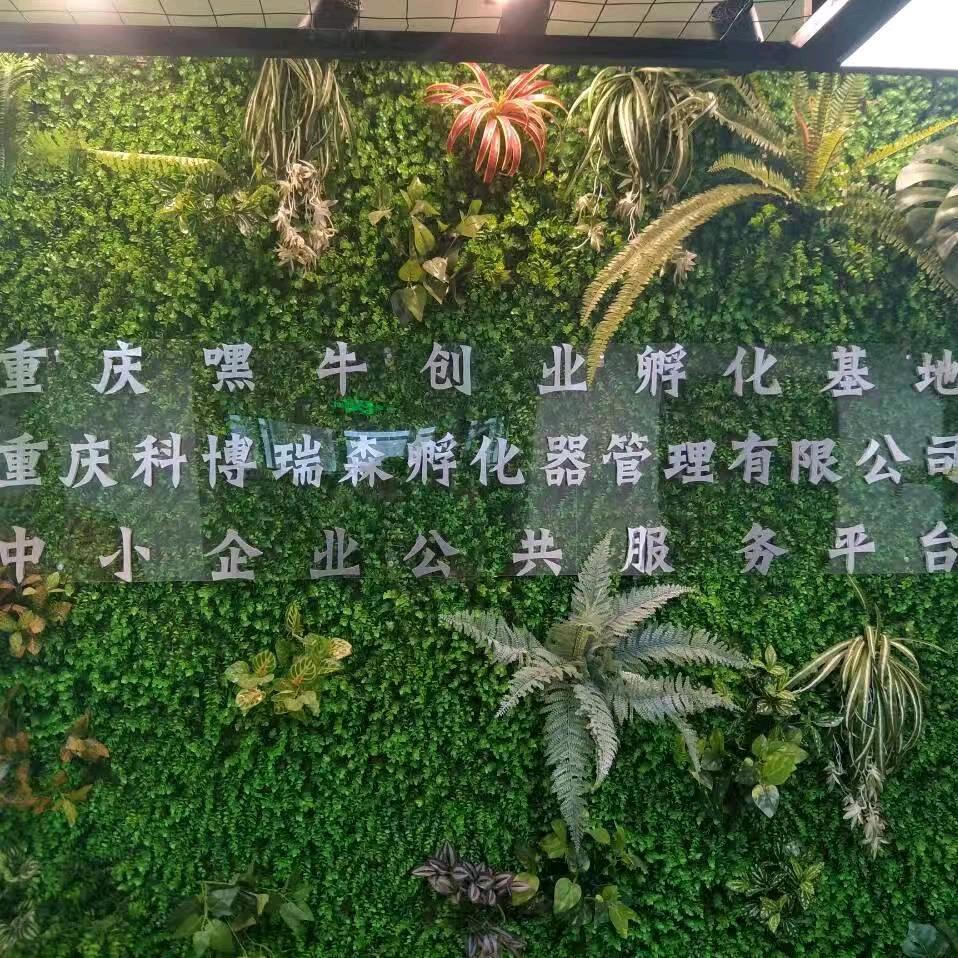 科艺华企业服务平台