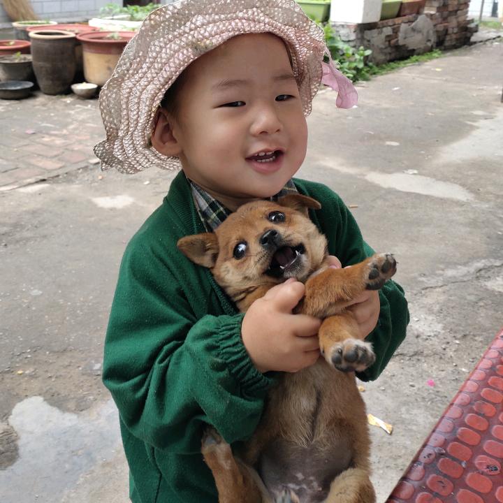 王子与小啪嗒