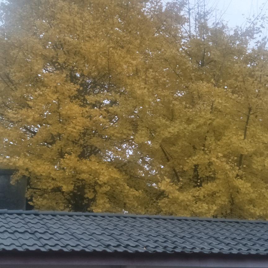 , ′′