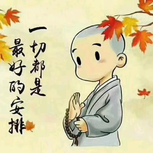 寿光根哥