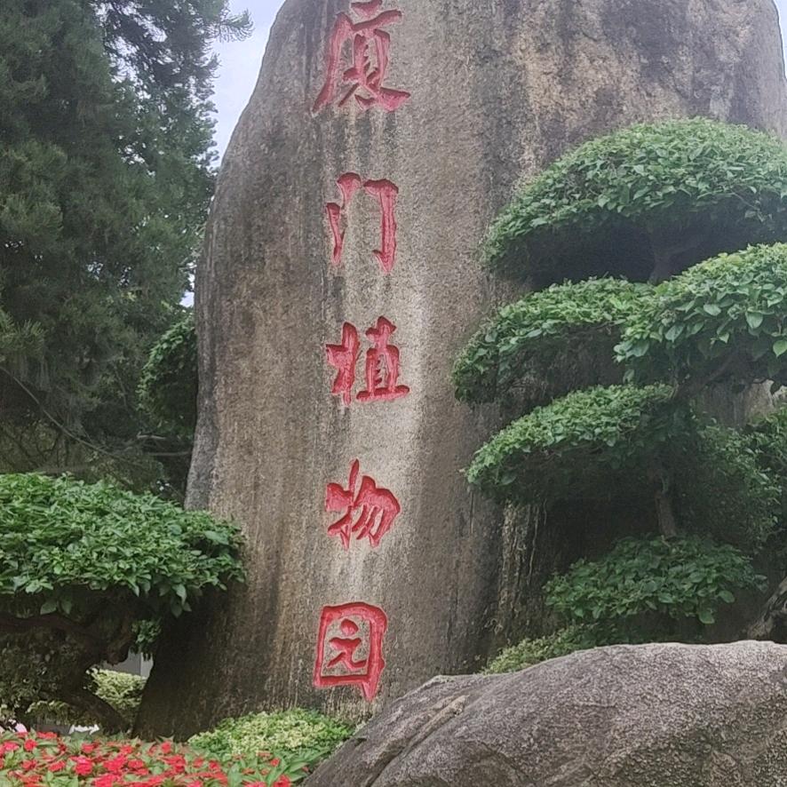 淡淡的遗忘
