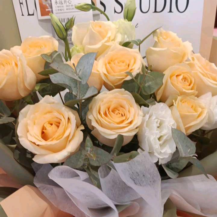 遇見您是我的缘