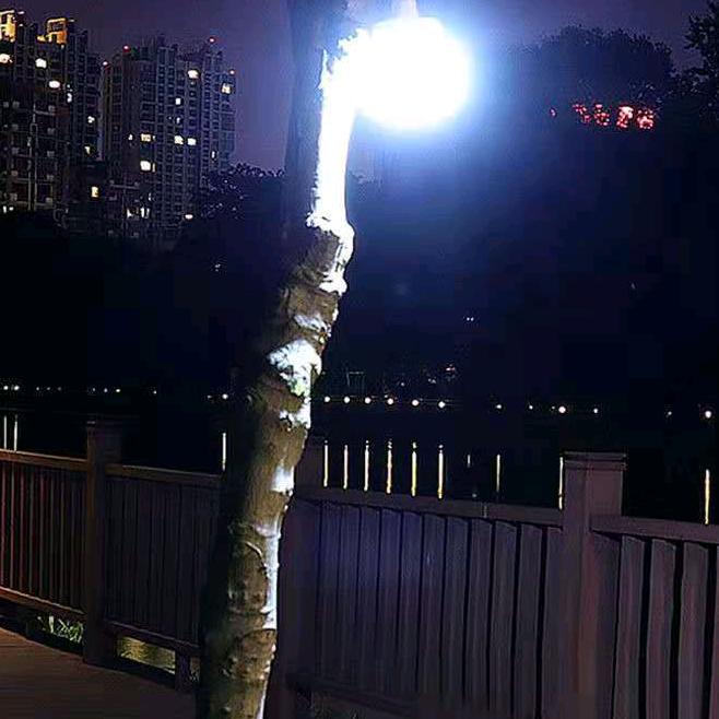 快乐
