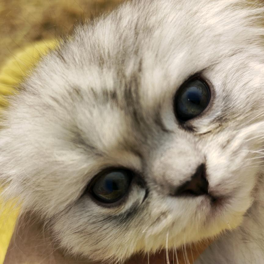 家和万事兴开💗💗