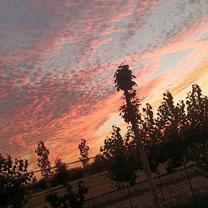 美丽夜空\_（拒绝私聊）