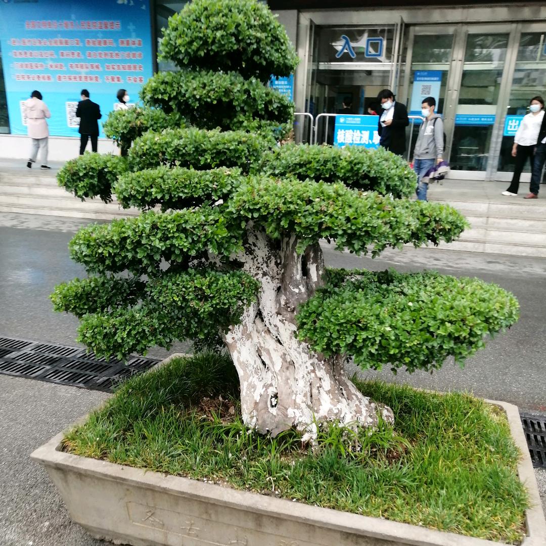 何气生财