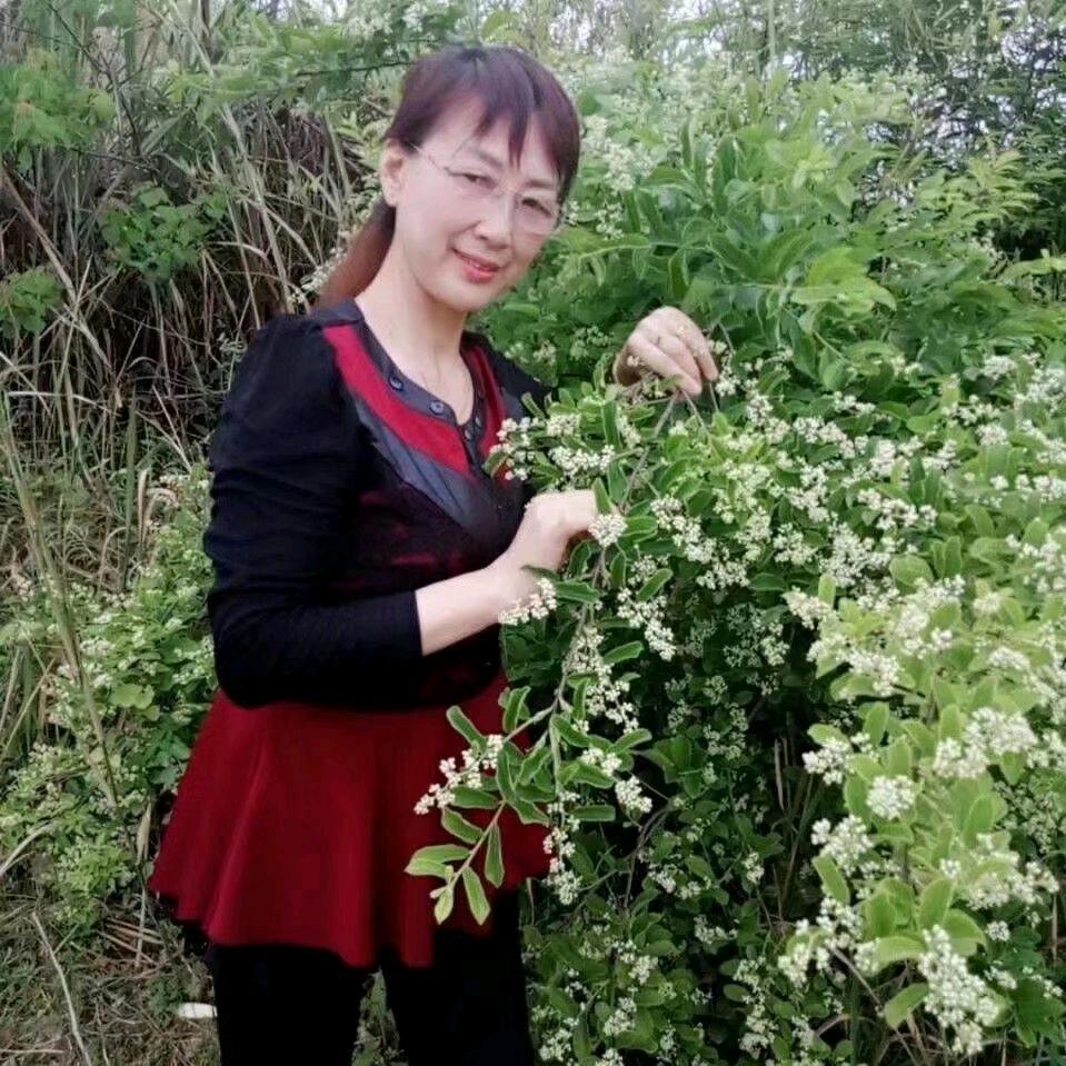 平安喜乐