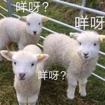 名字帅运气好