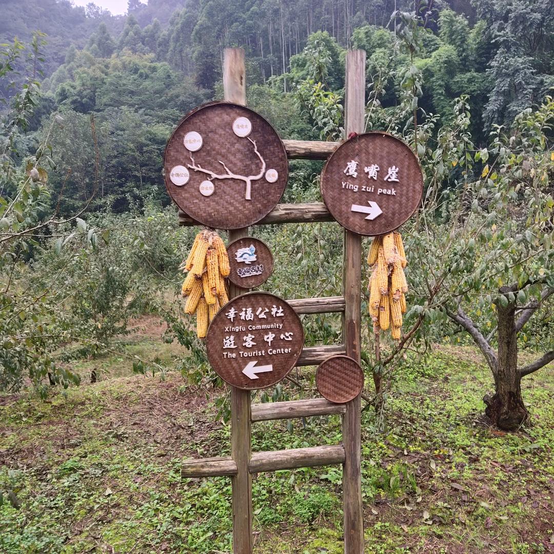 清新雅致