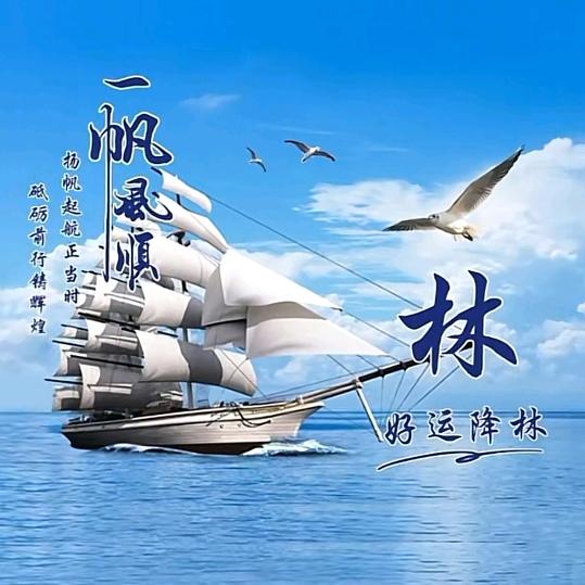 林中有雨