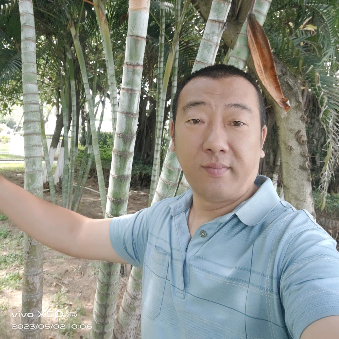 好运来