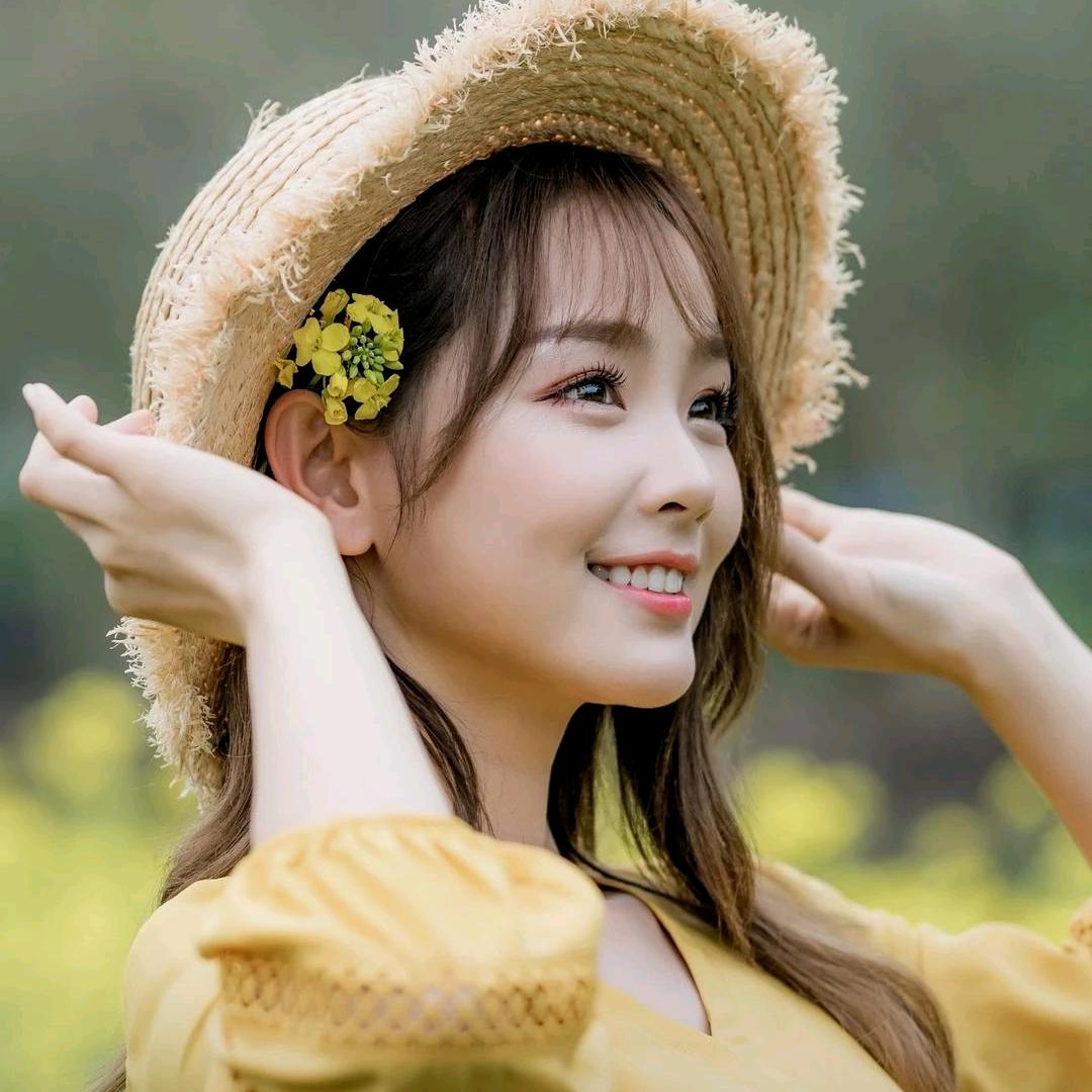 🍓柏拉图图