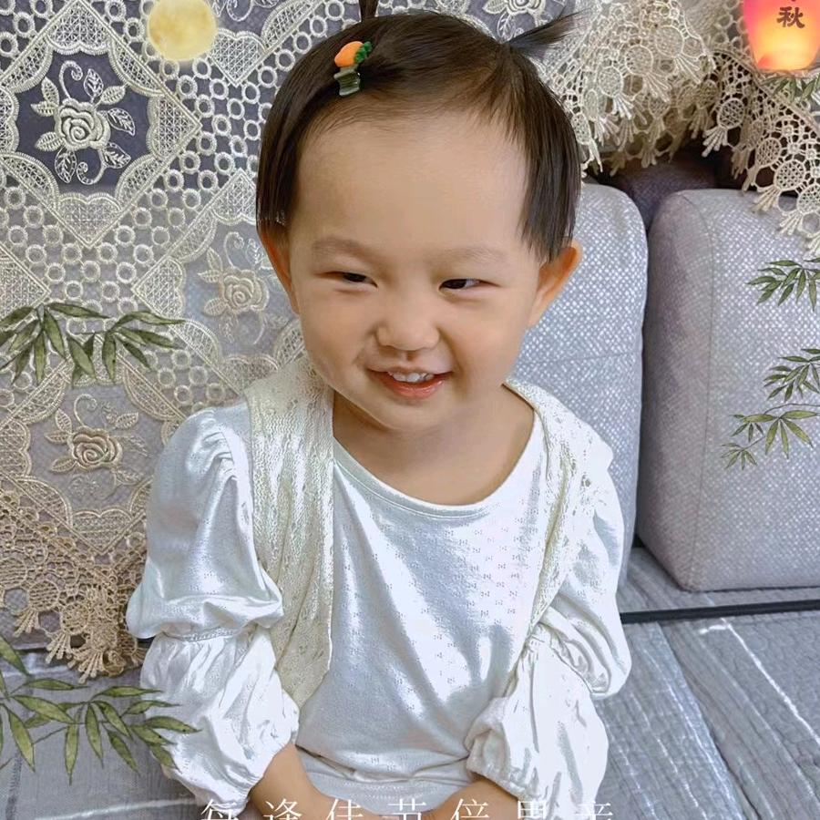 阳光嘉园曹县烧牛肉