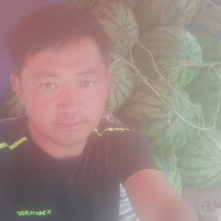 赵仓
