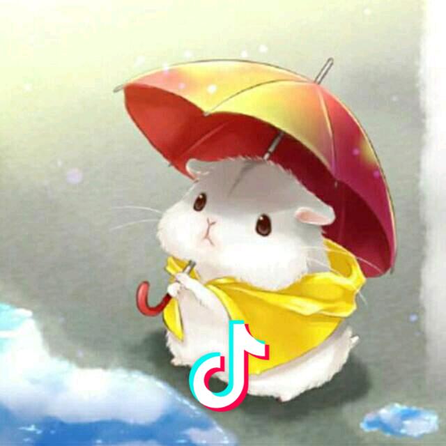 @嗯小然后😎