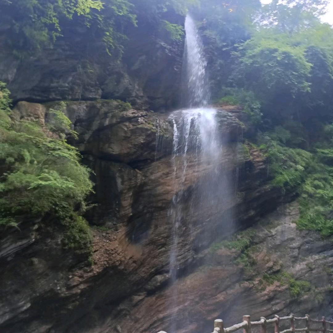 田野