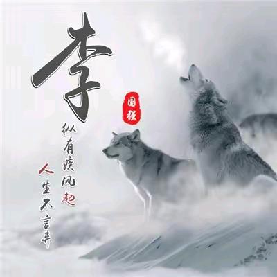 静逸风