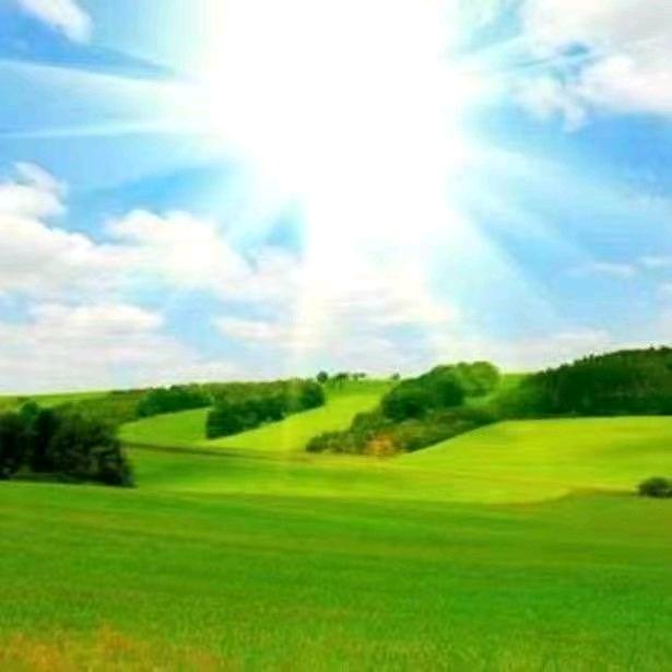 荣华富费万万年