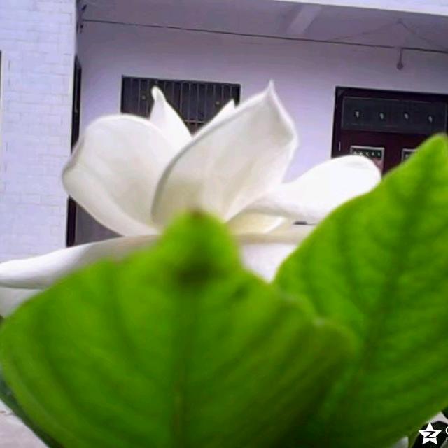 潘祥曲胡兴趣班