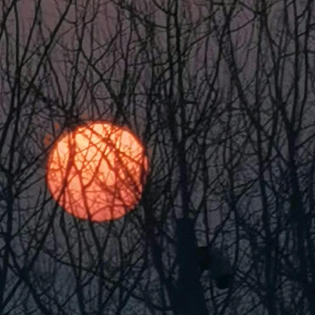 星一影