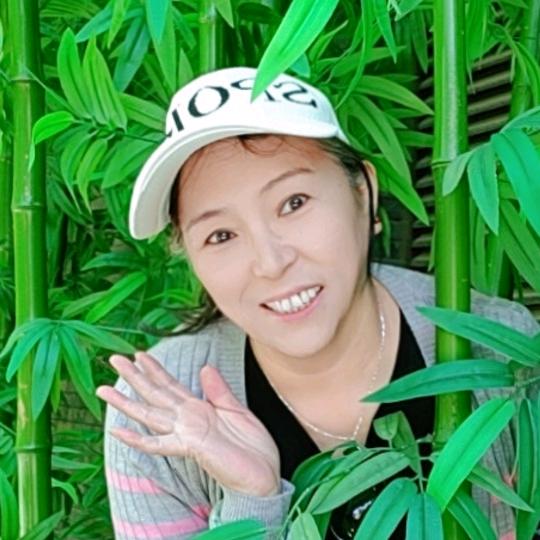 小仙草