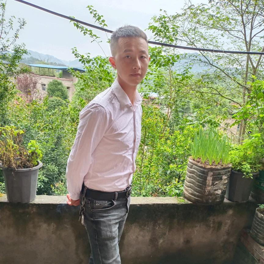 一生只爱张女士