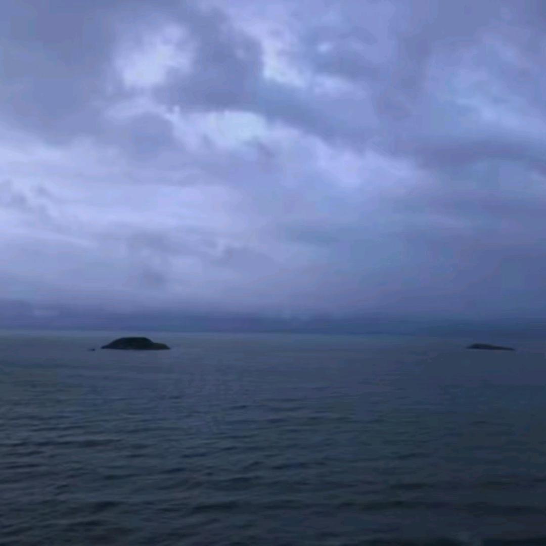 随风飘